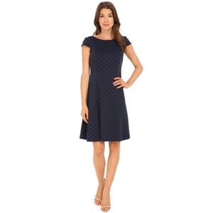 Tahari Dot Print Flare Dress NWT