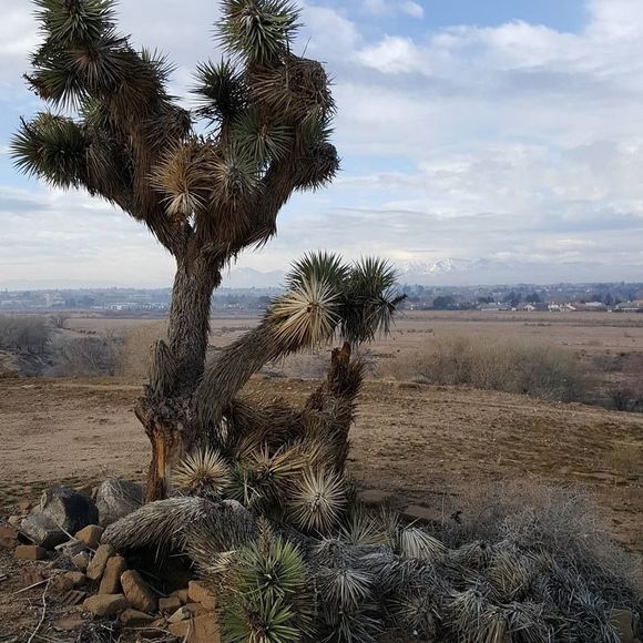 Meet your Posher, John - Picture 1 of 1