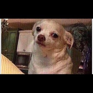 Meet your Posher, Jorge