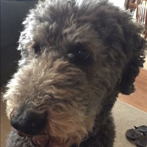 Meet your Posher, Kellen