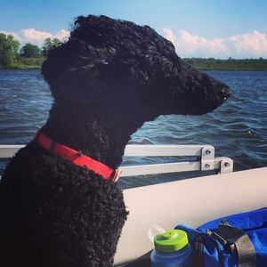 Meet your Posher, Jaime