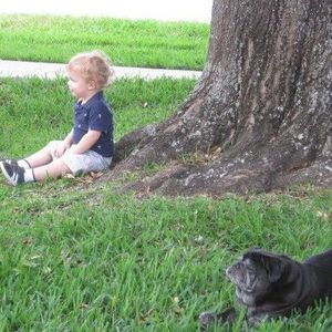 Meet your Posher, Robin