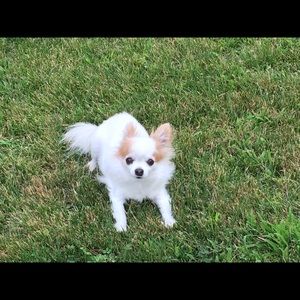 Meet your Posher, Debra