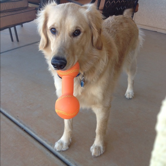 Meet your Posher, Patricia