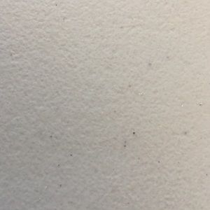 Meet your Posher, Marta