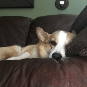 Meet your Posher, Sharon