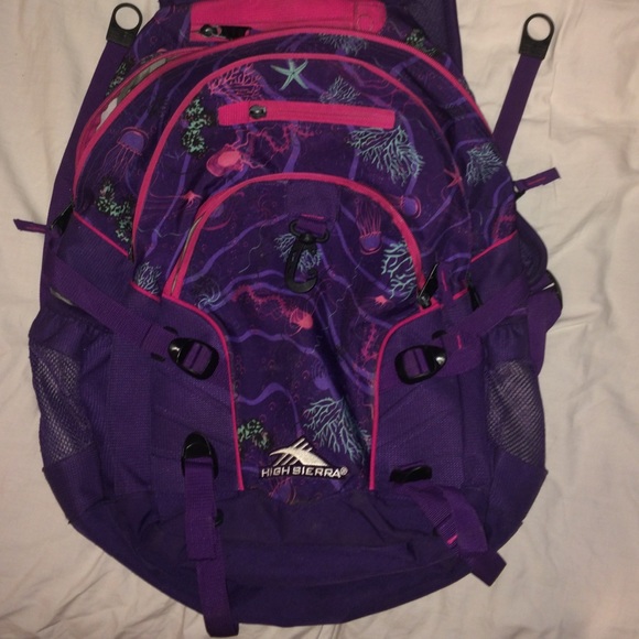 High Sierra Loop Backpack