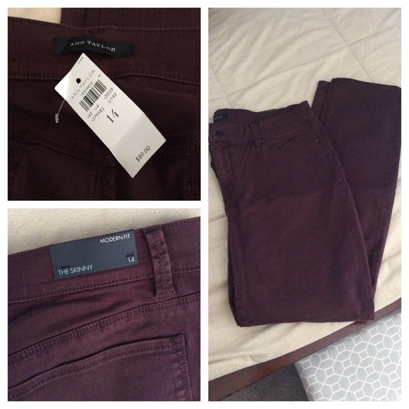 NWT Ann Taylor Skinny Jeans