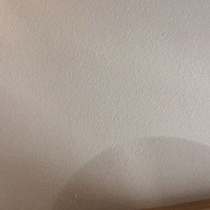 Meet your Posher, Margarita