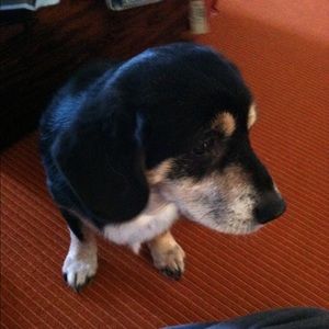 Meet your Posher, Kandy