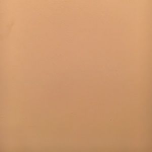 Meet your Posher, Dea