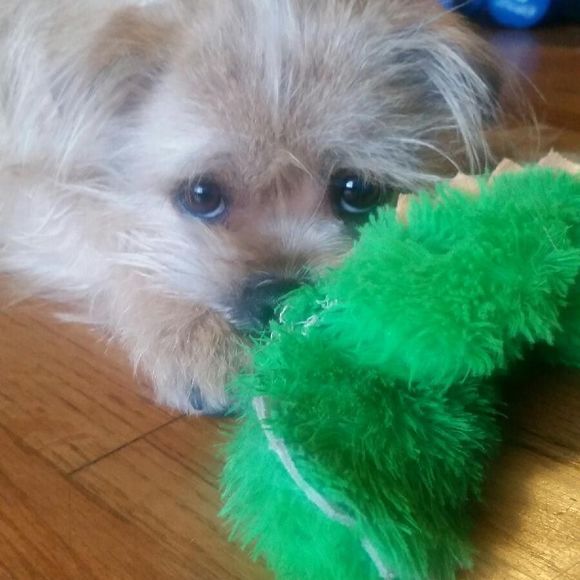 Meet your Posher, Staci