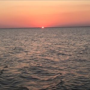 Meet your Posher, Shelby