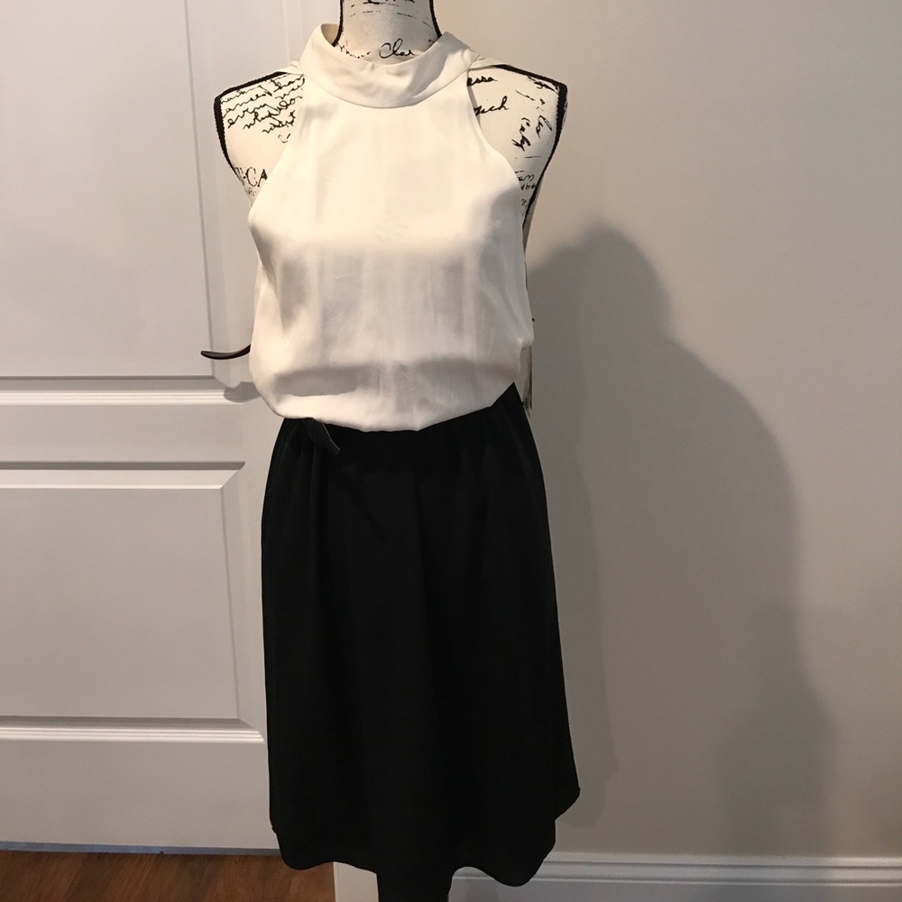 Alice and Olivia dress