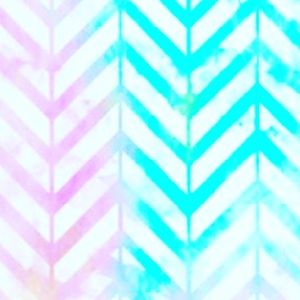 Meet your Posher, Laney