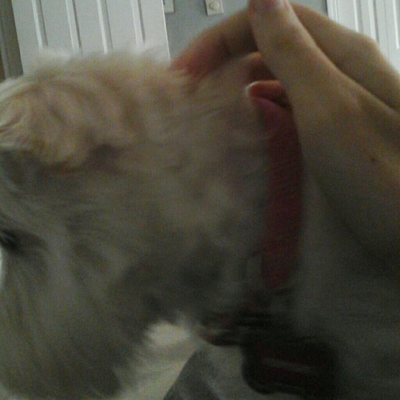 Meet your Posher, Eunice