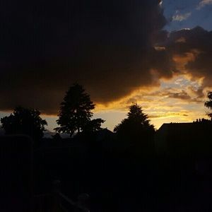 Meet your Posher, Sidney