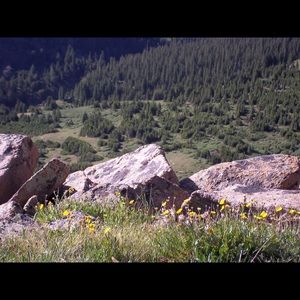 Meet your Posher, Nycole