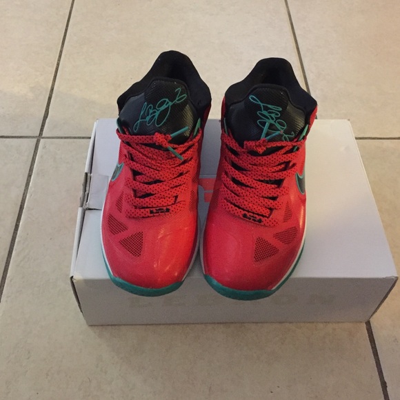 Lebron 9 low
