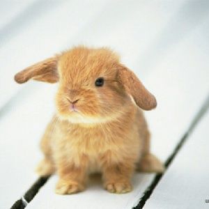 Meet your Posher, Kaylee