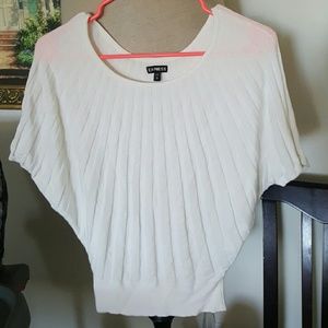 Express sweater shirt