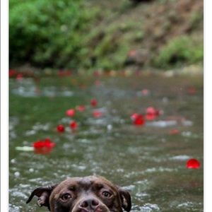 Meet your Posher, Debra