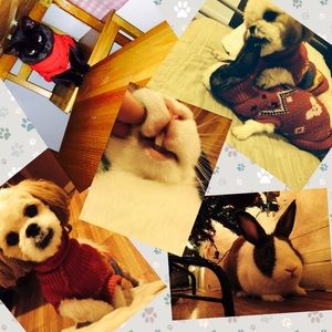 Meet your Posher, Iris