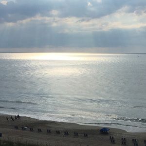 Meet your Posher, Sidney