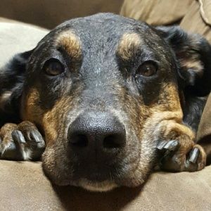 Meet your Posher, Mary