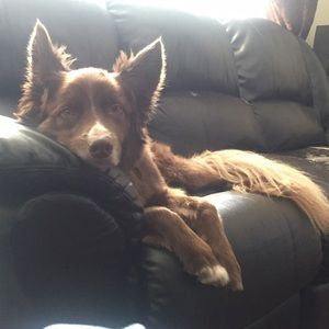 Meet your Posher, Nicole