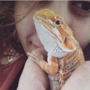 Meet your Posher, Robin