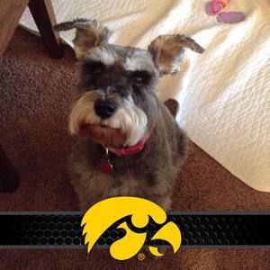 Meet your Posher, Terri