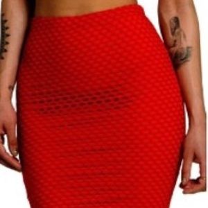 Rue 107 mesh skirt