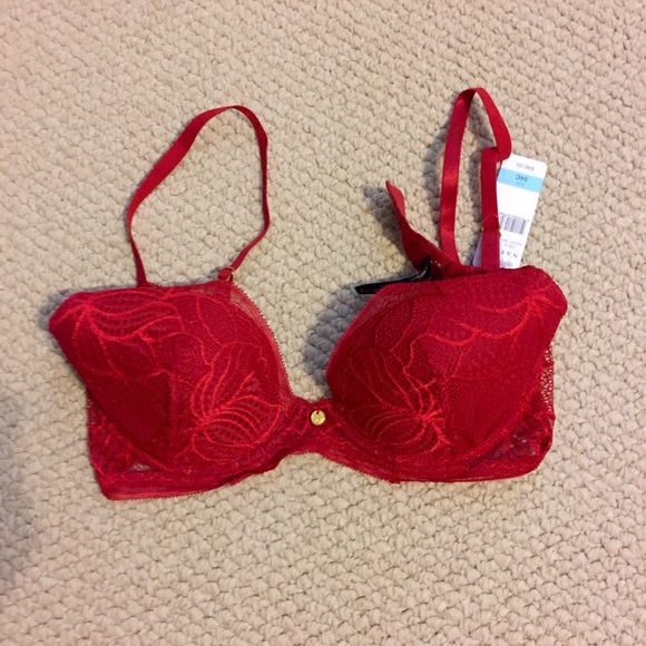Natori push-up bra NWT