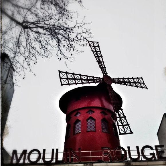 Meet your Posher, Octavia - Picture 1 of 1