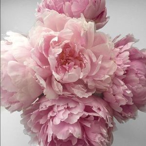 Meet your Posher, Mila