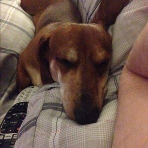 Meet your Posher, Matt