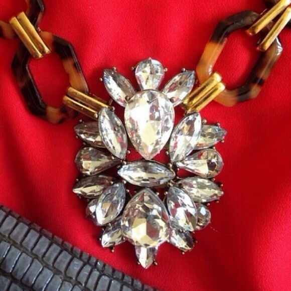 Sold 4 blanca  |  🎉 Tortoise Crystal Necklace - Picture 4 of 4