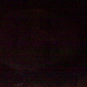 Meet your Posher, Tricia