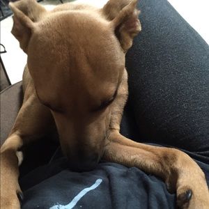 Meet your Posher, Lauren