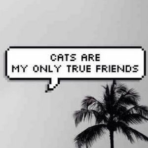 Meet your Posher, Charlotte