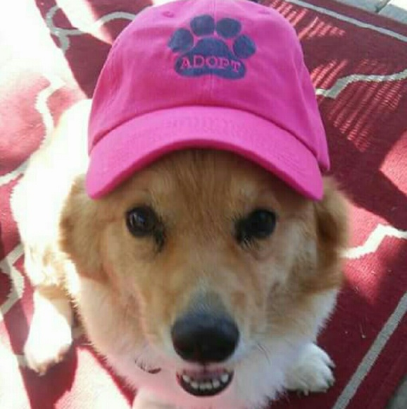 Meet your Posher, Jeannette 5πSELLER! - Picture 2 of 4