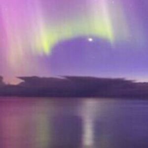 Meet your Posher, Peggie