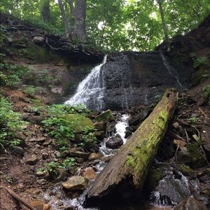 Meet your Posher, Madeline