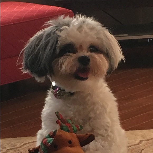 Meet your Posher, Melissa