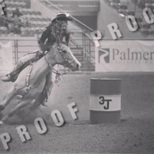 Meet your Posher, Avery