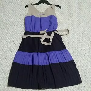 Blue/purple The Limited dress