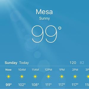 Meet your Posher, Savannah