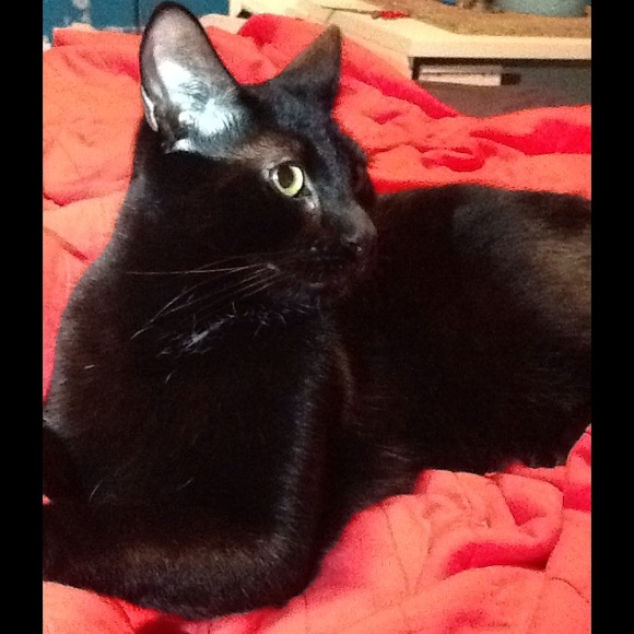 Meet your Posher, Mayra - Picture 1 of 1