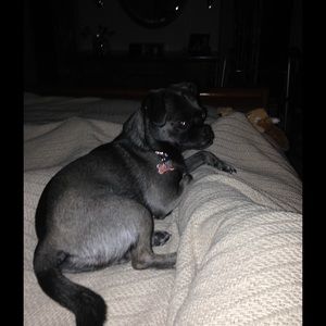 Meet your Posher, Pam